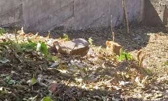 Imagem 7: Casa para venda possui 200 metros quadrados com 5 quartos