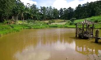 Imagem: Fazenda de Café no Sul do Espírito Santo