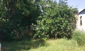 Imagem 5: Casa em Lami Casa com 2 dormitórios