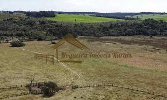 Imagem 6: Sitio com 22 alqueires na região de Tatuí-SP