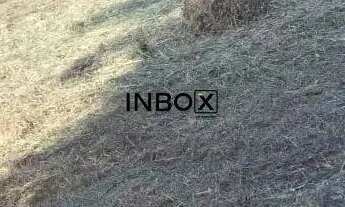 Imagem: INBOX CIA IMOBILIÁRIA VENDE TERRENO NO