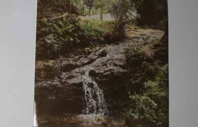 Imagem 2: VENDE-SE BOSQUE PARA APAIXONADOS PELA NATUREZA REGIÃO PARQUE TANGUÁ COM CÓRREGO DE ÁGUA LI