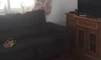 Imagem 7: Vendo Amplo AP 3 dormitórios centro de Tramandaí