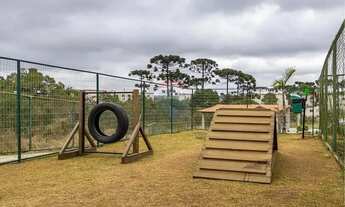 Imagem 5: Apartamento Encantador em São José dos Pinhais!