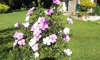 Imagem 3: CHACARA - DOIS CÓRREGOS - SP