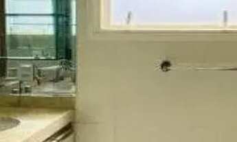 Imagem 7: Encontre a sua casa dos sonhos em um dos locais mais cobiçados da cidade