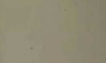 Imagem 6: Imóvel para venda tem 500 metros quadrados em Pedreira - Belém - PA