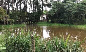 Imagem 2: Vendo fazendinha 38 hectares, região de Caeté/MG