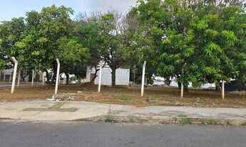 Imagem: 9 Lotes (Quadra Fechada) Vila Oliveira