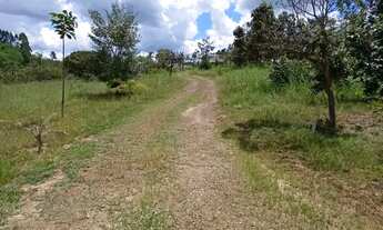 Imagem 2: CHACARA 20.000m², 2 Casas, Piscina, toda cercada, 500 metros para asfalto