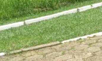 Imagem 7: AREA - JARDIM DOS PINHEIROS - SP