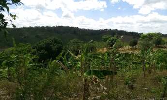 Imagem 3: Sitio borborema-PB