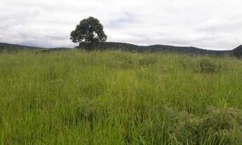 Imagem 5: Aceita permuta! Fazenda / sítio com venda por R$400.000