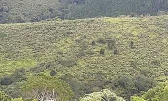 Imagem 4: Aceita permuta! Fazenda / sítio com venda por R$400.000