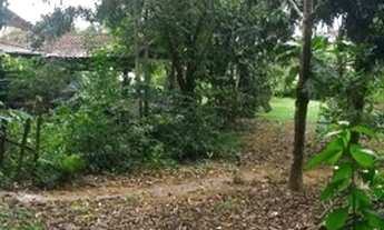 Imagem 4: Chácara Paraíso Tropical 80 x 60