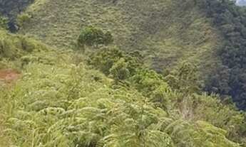 Imagem 6: Aceita permuta! Fazenda / sítio com venda por R$400.000