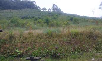 Imagem 4: Sitio região de domingo Martins 7 hequitares