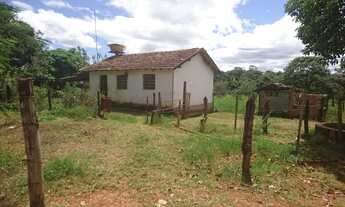 Imagem 5: Fazendinha de 17 hectares plana a 6.5 km da MG 10!
