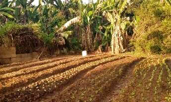 Imagem 5: SANTA LUZIA - SITIO - BARREIRO DO AMARAL