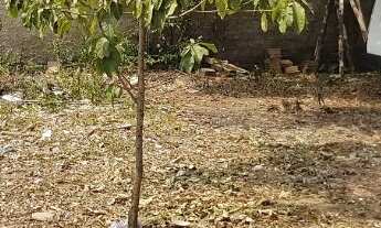 Imagem 3: Lote com casa no São Benedito