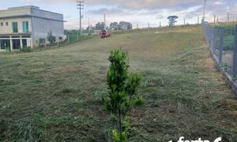 Imagem 5: Chácara à venda em Boa vista, Contenda cod:840