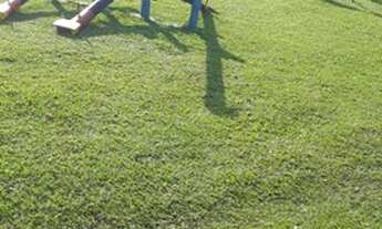 Imagem 7: Terreno em condomínio de chácaras