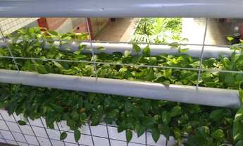 Imagem 3: Escritório para venda tem 40 metros quadrados em Candeias - Jaboatão dos Guararapes - PE