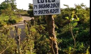 Imagem 2: Terrenos Conjunto de 4 lotes 1000 m2 esquina da fazenda tapera Cabaceiras do Paraguaçu