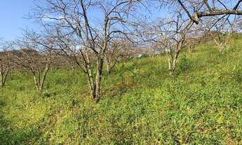 Imagem 7: Terreno à venda, 2606 m² - Cônego - Nova Friburgo/RJ