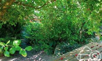 Imagem 7: Casa para Venda em Florianópolis, Sambaqui, 2 dormitórios, 1 suíte, 4 banheiros, 8 vagas