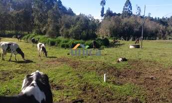 Imagem 6: CHÁCARA EM CAMPO ALEGRE/SC