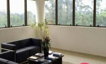 Imagem 6: Comercial - Jd Belizario