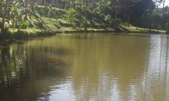 Imagem 5: Sítio para venda com 5,5 alqueires