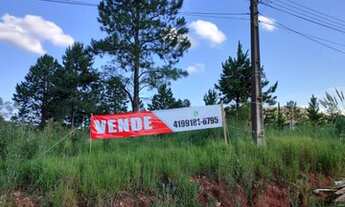 Imagem 6: Terreno Industrial 8000m2 Colombo Paraná