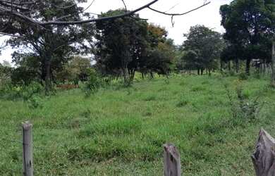 Imagem 7: Terreno para Venda em Ribeirão das Neves, Hortinha
