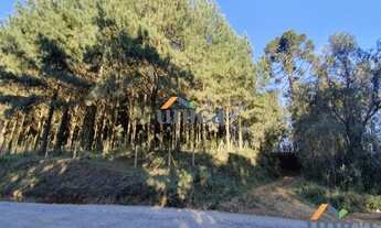 Imagem 3: Terreno - Campo Alegre/SC