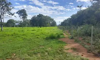 Imagem 5: Fazenda 59 alqueires 42 km de Porto Nacional Tocantins