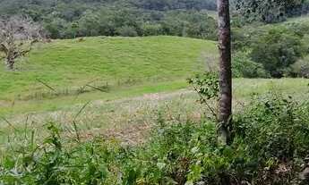 Imagem 2: Sítio em Indaial - 49.846,11 m² - Oportunidade - Barbada