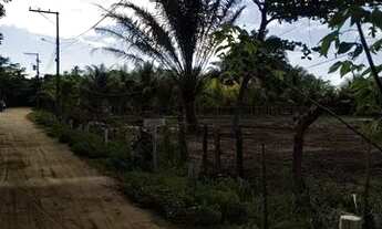 Imagem 2: TERRENO RESIDENCIAL em MARAÚ - BA, BARRA GRANDE