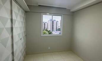 Imagem 3: Arboris Jabotina