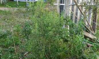 Imagem 4: Terreno Araricá 10x20