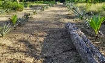 Imagem 2: Sitio no Rio Preto da Eva