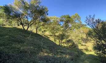 Imagem 3: Quot;OPORTUNIDADE" 36.000 m2 R$ 190 mil