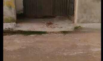 Imagem 4: Ótima casa a venda