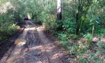 Imagem: Chácara 13 hectares valor 173,000,00