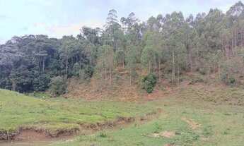 Imagem: Chácara em tijuco preto domingo Martins