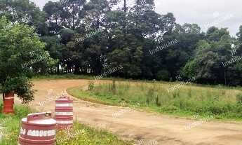 Imagem 4: Excelente Chácara