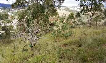 Imagem 5: Terreno 10×27 com escritura Jd alegria Francisco morato