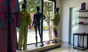 Imagem 4: Vendo loja setor sul ( sem estoque