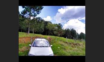 Imagem 6: Vendo chácara 3 Alqueires em caçador com escritura tudo certinho